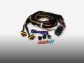 Two-Lamp Wiring Kit - Long (6-Pin, Superseal, 12V)
